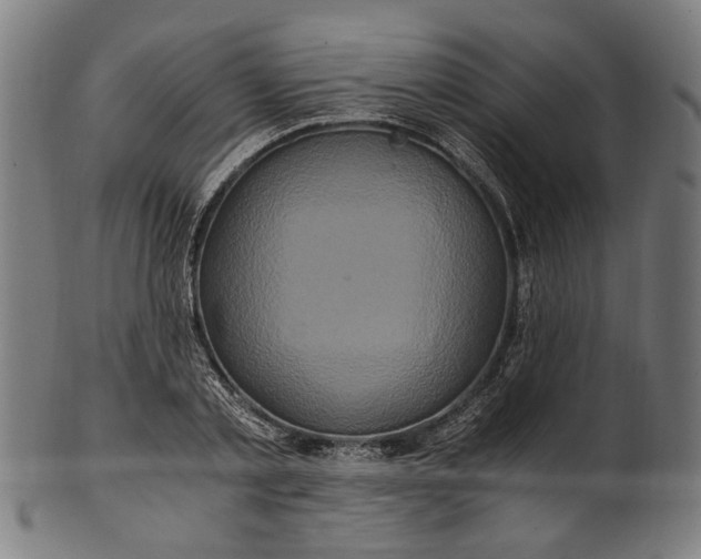 X0000100880789200807111341