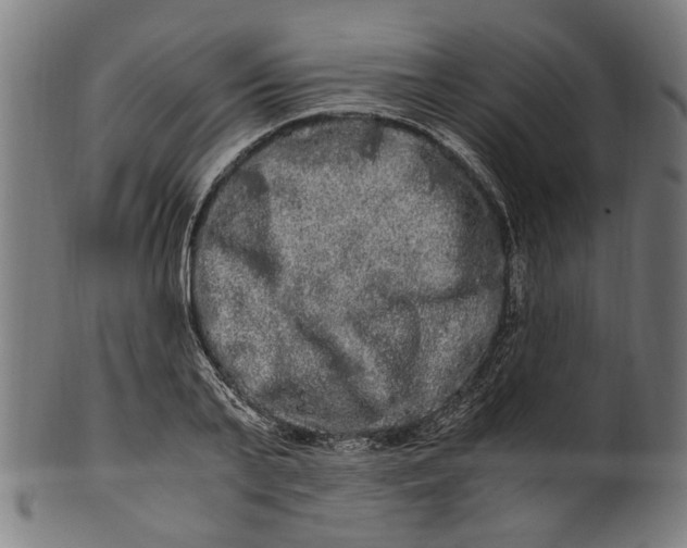 X0000100880791200807111341