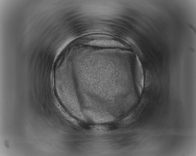 X0000100880796200807111341