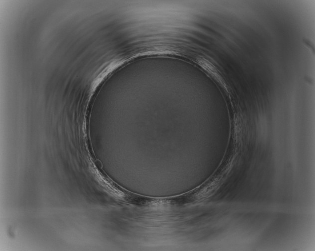 X0000100880797200807111341