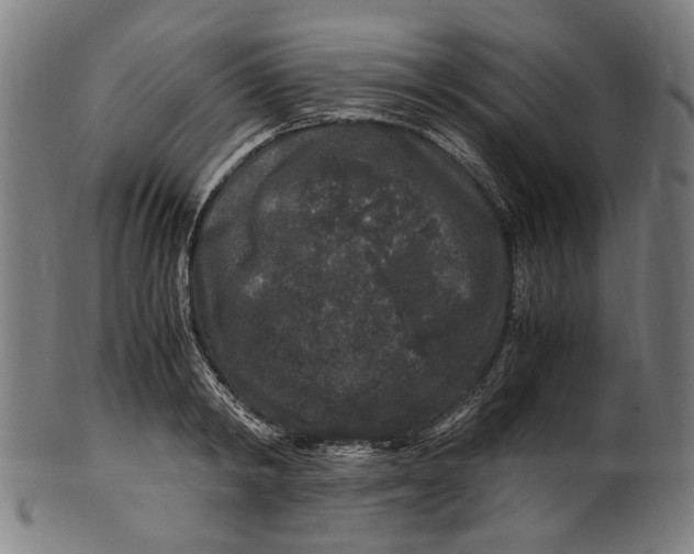 X0000100880798200807111341