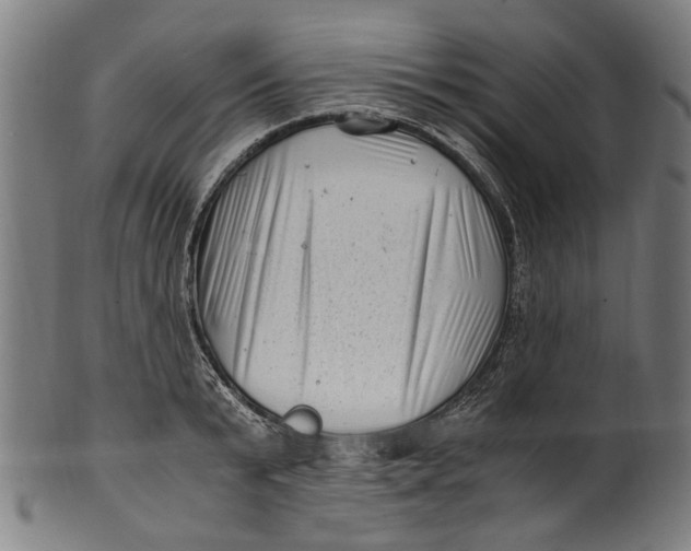 X0000100880799200807111341