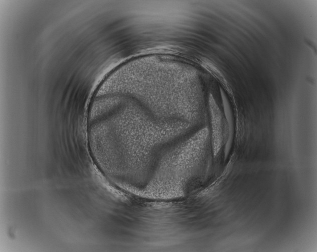 X0000100880800200807111341