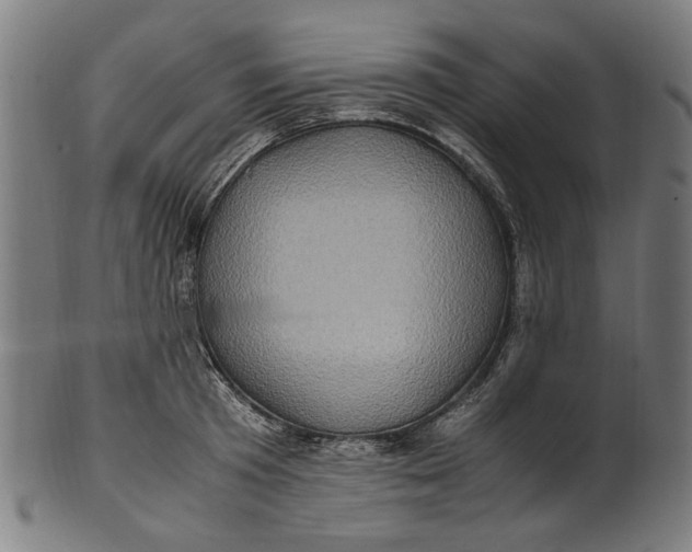 X0000100880801200807111341