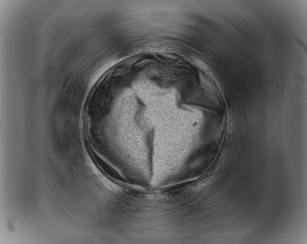 X0000100880803200807111341