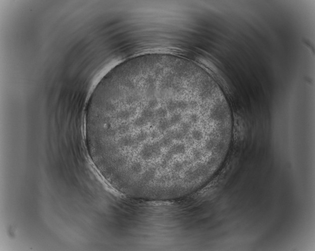 X0000100880804200807111341