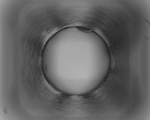 X0000100880805200807111341