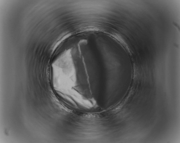 X0000100880806200807111341