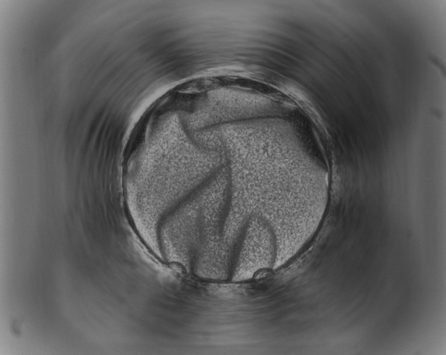 X0000100880808200807111341