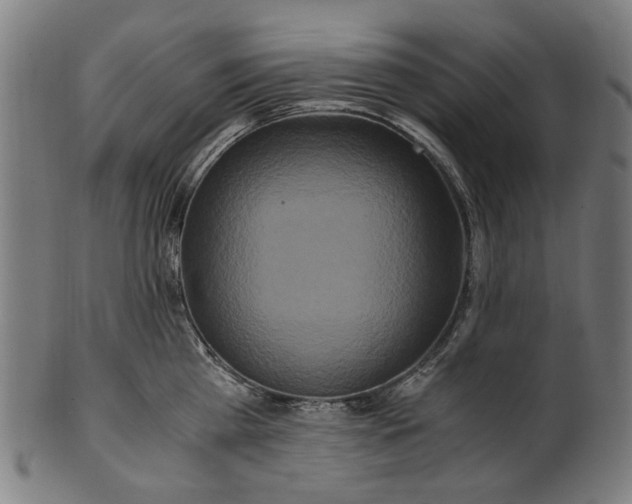 X0000100880809200807111340