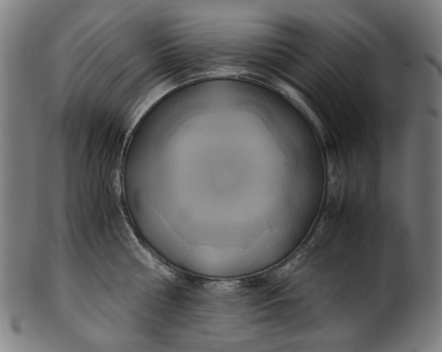 X0000100880810200807111340