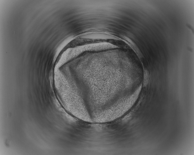 X0000100880812200807111340