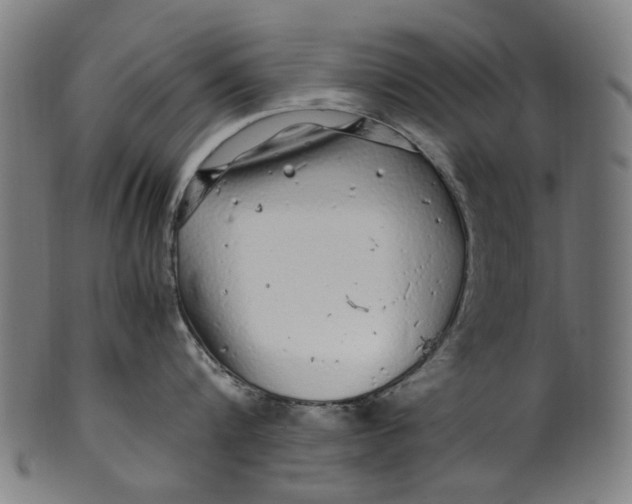 X0000100880816200807111340