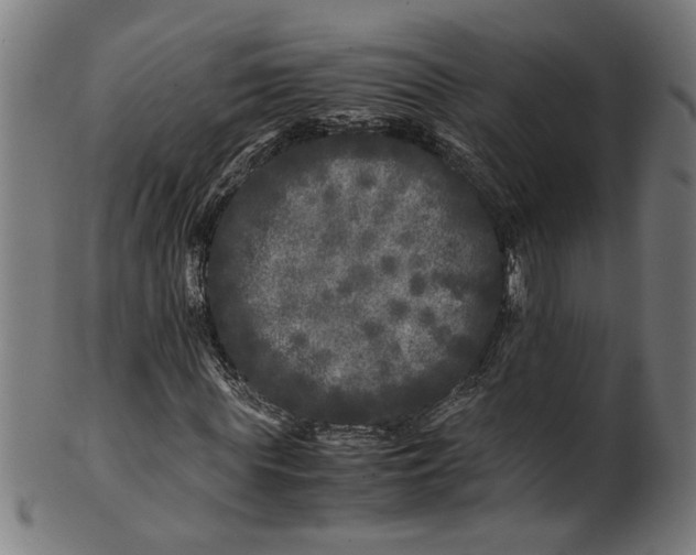 X0000100880819200807111340