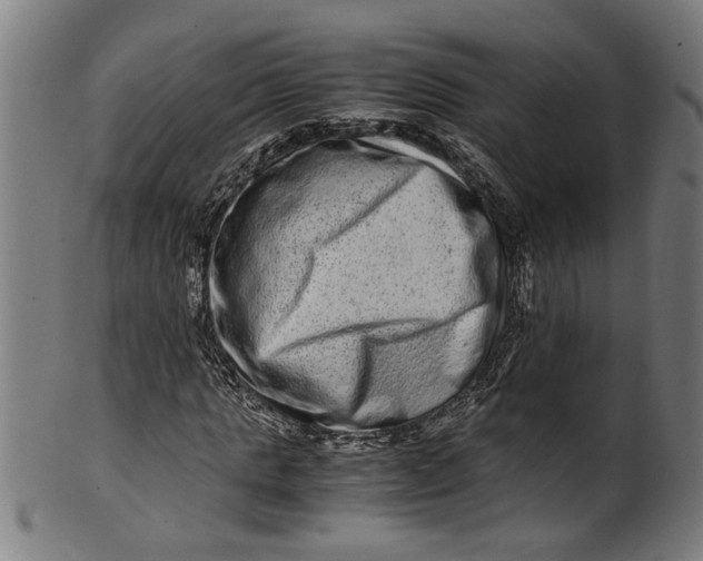 X0000100880821200807111340