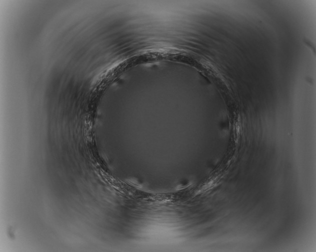 X0000100880822200807111340