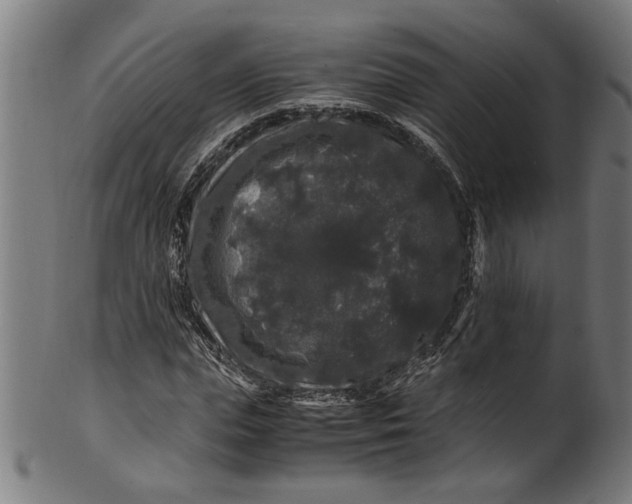 X0000100880823200807111340