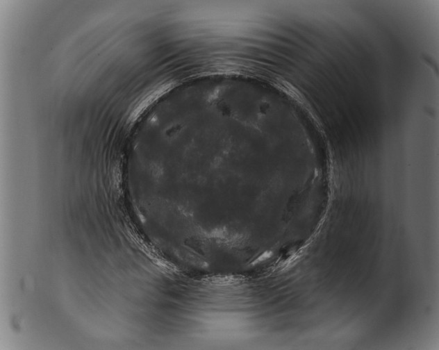 X0000100880826200807111340