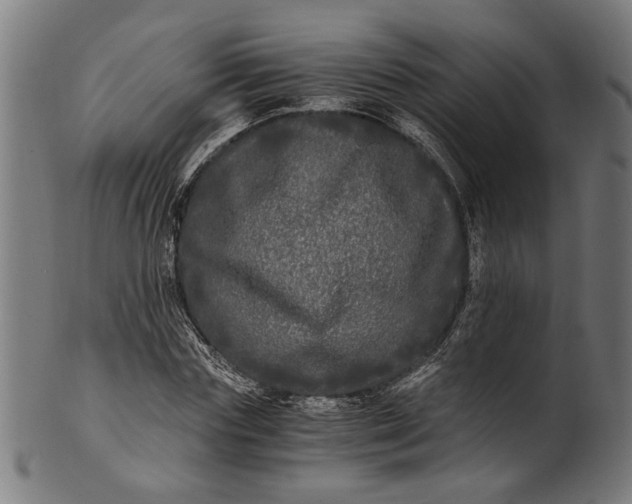 X0000100880827200807111340