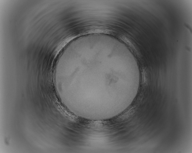 X0000100880828200807111340