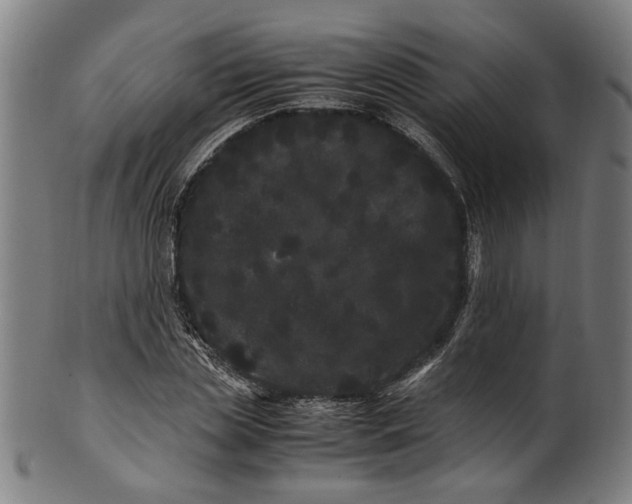 X0000100880829200807111340