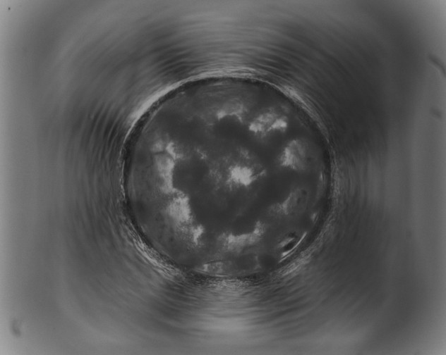 X0000100880830200807111340