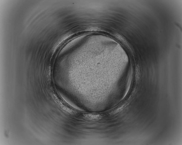 X0000100880831200807111340