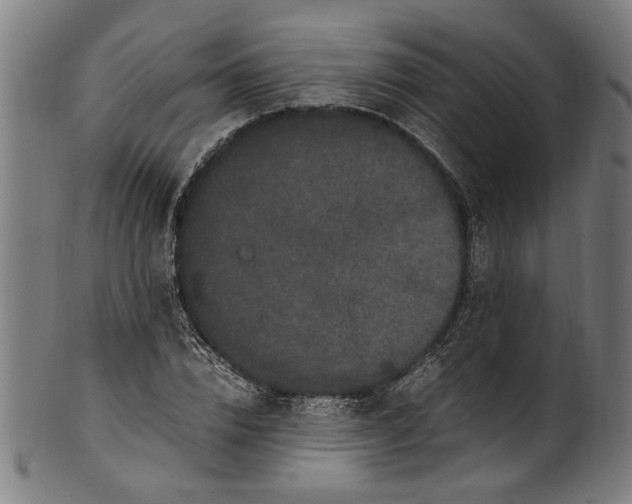 X0000100880832200807111340