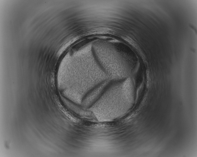 X0000100880834200807111340