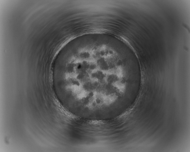 X0000100880835200807111340