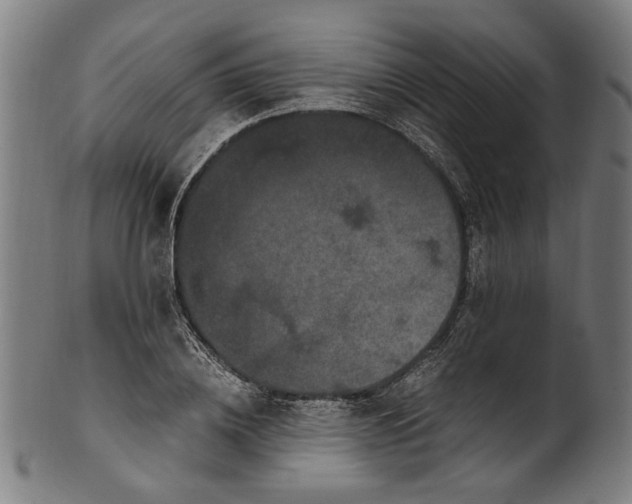 X0000100880836200807111340