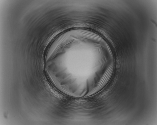 X0000100880837200807111340