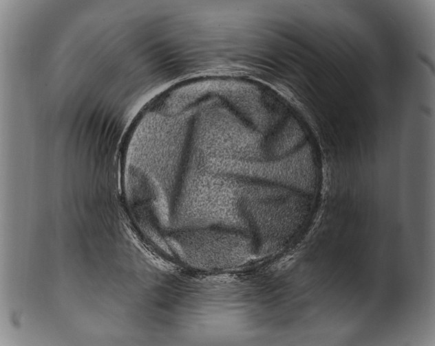 X0000100880838200807111340