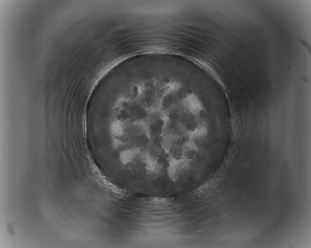 X0000100880839200807111340