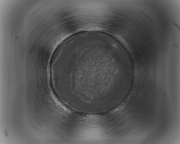 X0000100880840200807111340