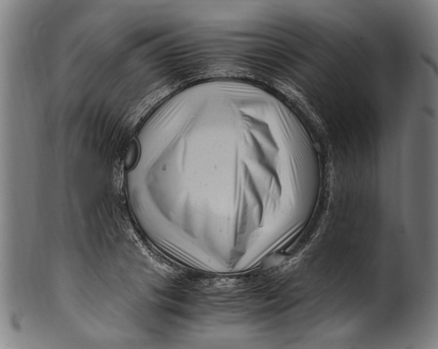 X0000100880841200807111340