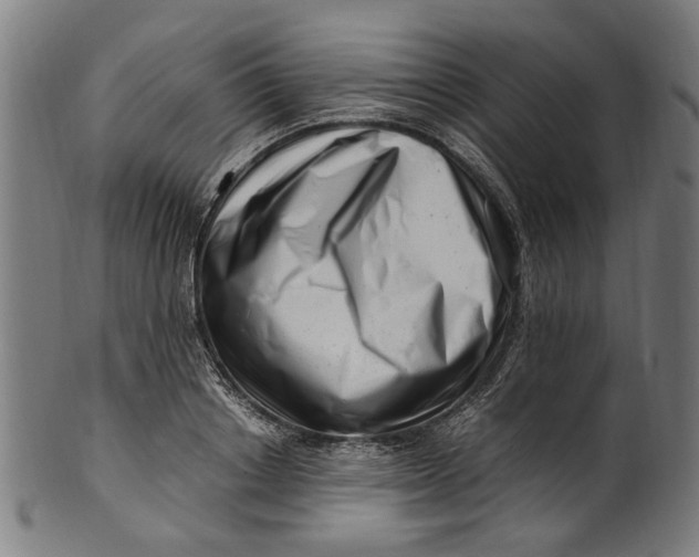 X0000100880842200807111340