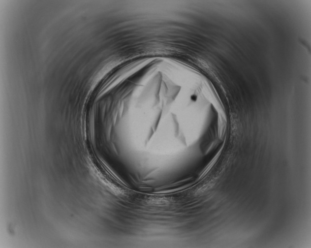 X0000100880843200807111340