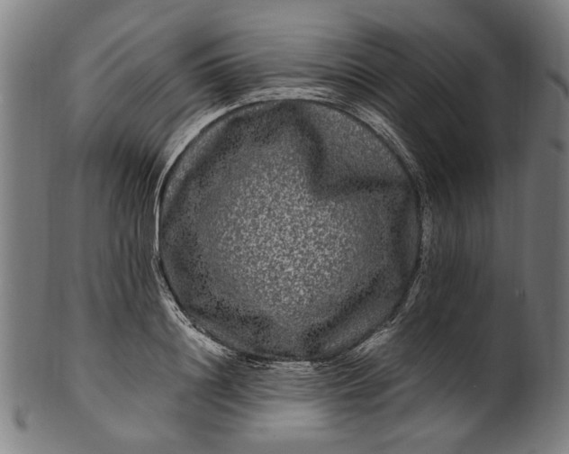 X0000100880844200807111340