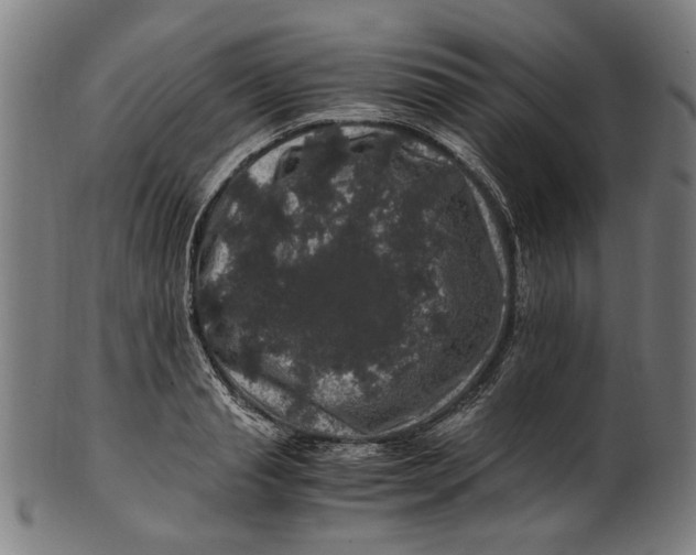 X0000100880845200807111340