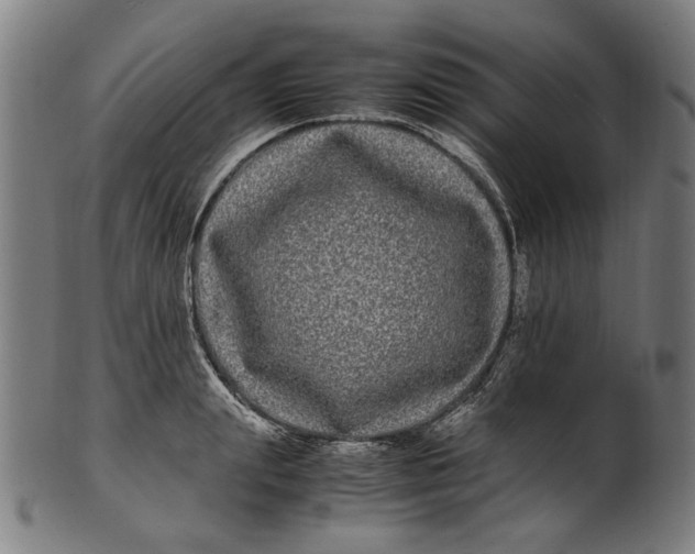 X0000100880847200807111340