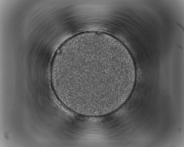 X0000100880848200807111340