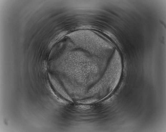 X0000100880849200807111340