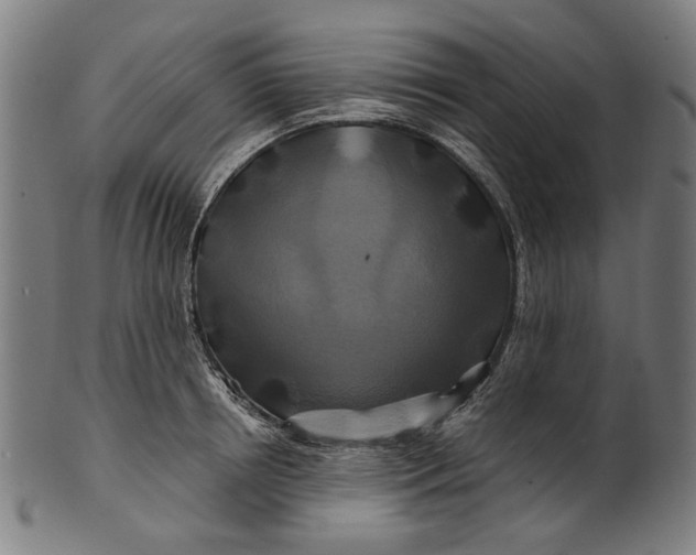 X0000100880850200807111340