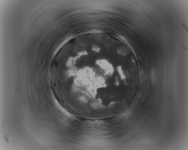 X0000100880851200807111340