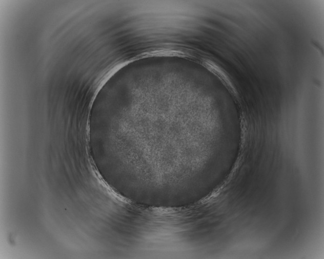 X0000100880852200807111340