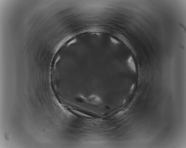 X0000100880853200807111340