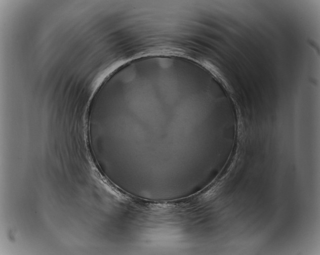 X0000100880854200807111340