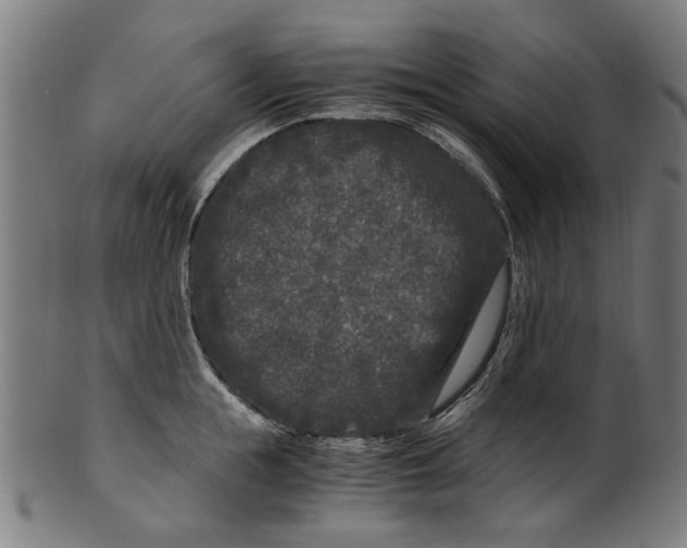 X0000100880855200807111340