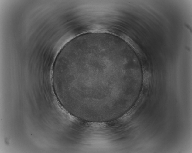 X0000100880856200807111340